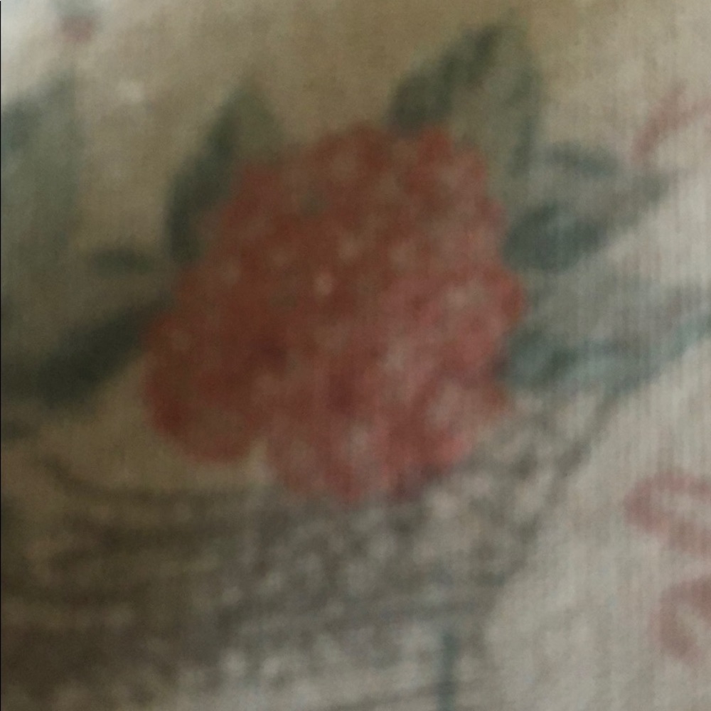 Meet your Posher, Disha